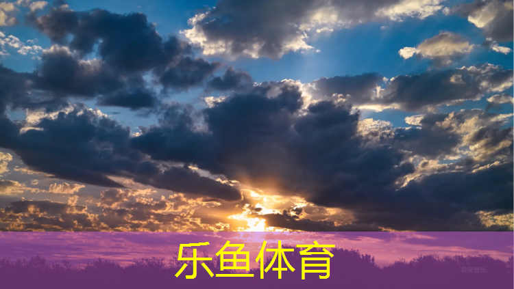 乐鱼体育官方网站,楼梯踏步机健身器材
