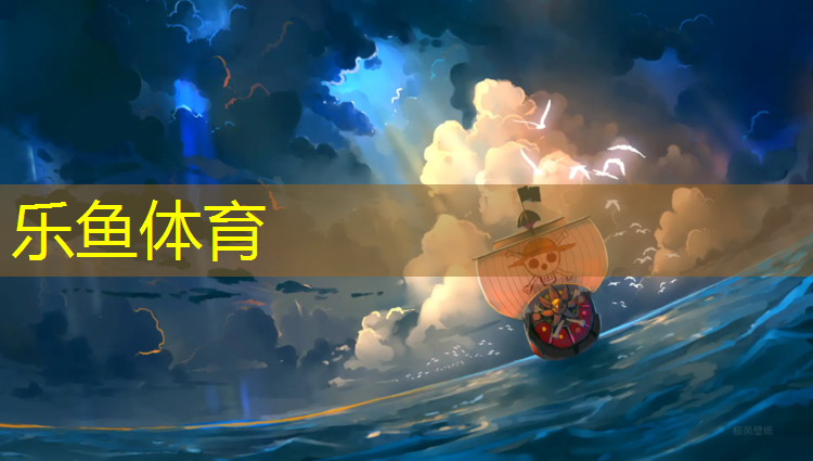 <strong>乐鱼体育,塑胶跑道设置规范要求标准</strong>