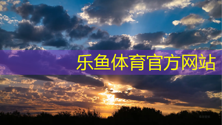 巢湖聚氨酯塑胶跑道